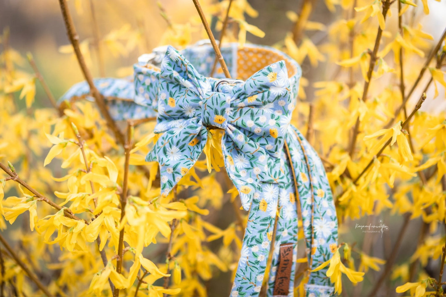 "Blue Bliss" Halsband für Hunde - Mr. Fox Hundezubehör
