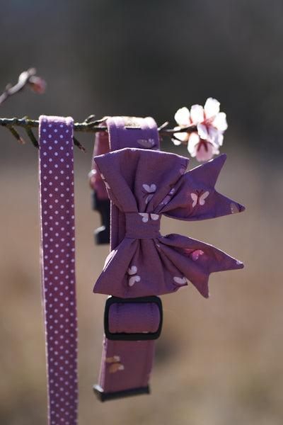 "Butterfly Beauty" sailor bow for dog collars