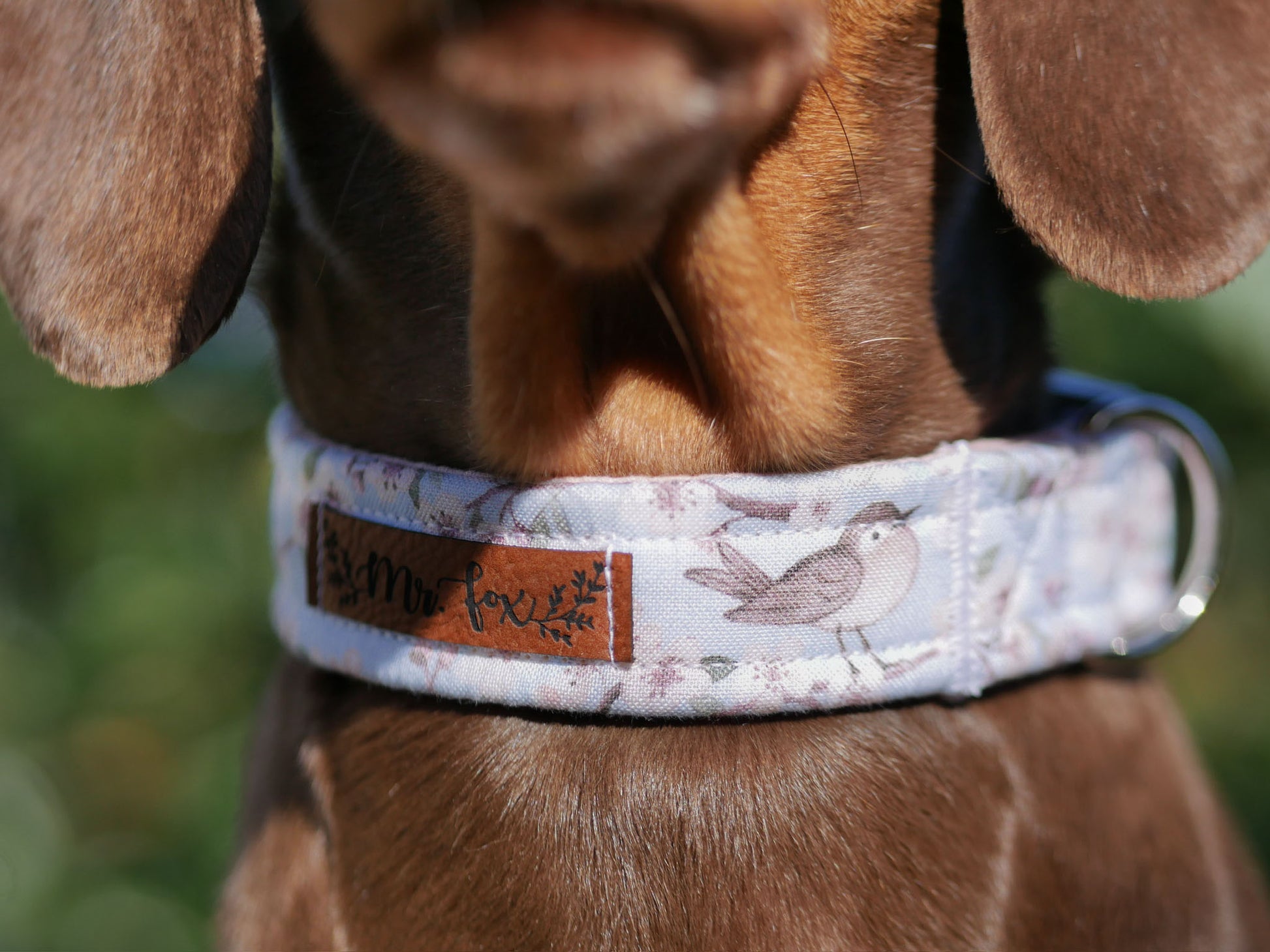 "Birds & Blossoms" Halsband für Hunde - Mr. Fox Hundezubehör