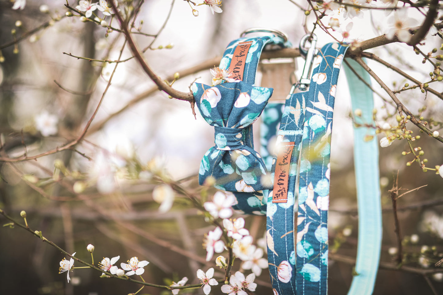 "Enchanting Eucalyptus" Halsband für Hunde - Mr. Fox Hundezubehör