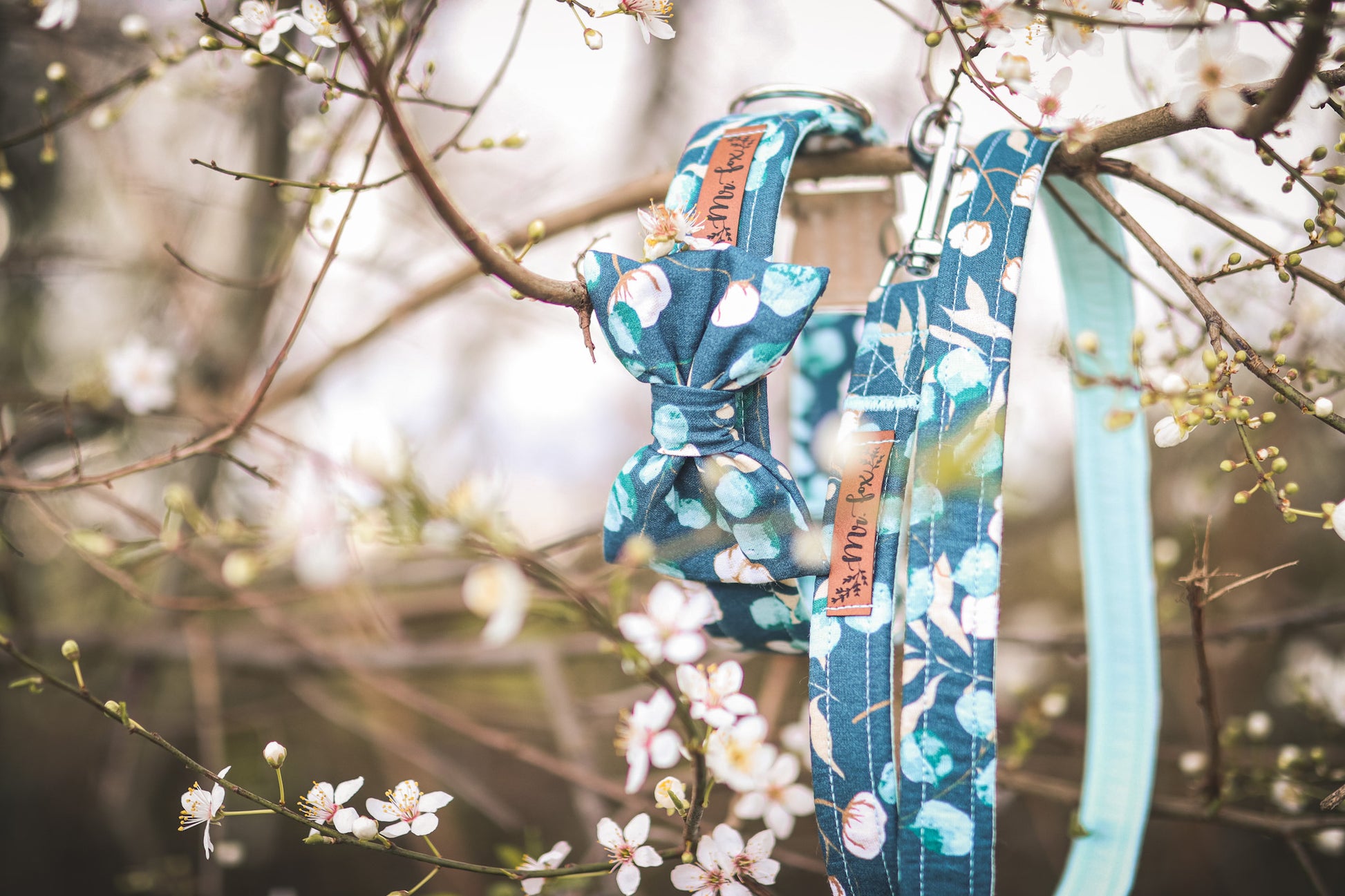 "Enchanting Eucalyptus" Halsband für Hunde - Mr. Fox Hundezubehör