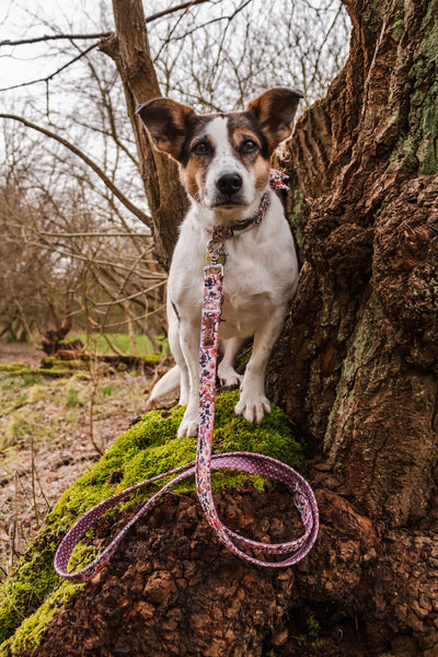 "Blooming Beauty" dog leash