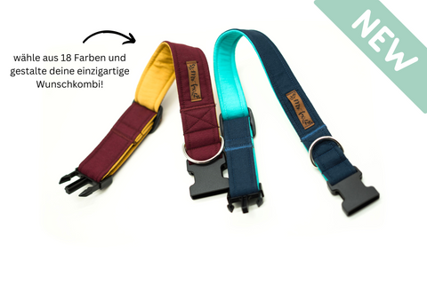 "Color Block" Halsband für Hunde - kombiniere deine Wunschfarben