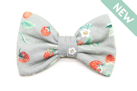 "Sweet Strawberries" bow tie for dog collars