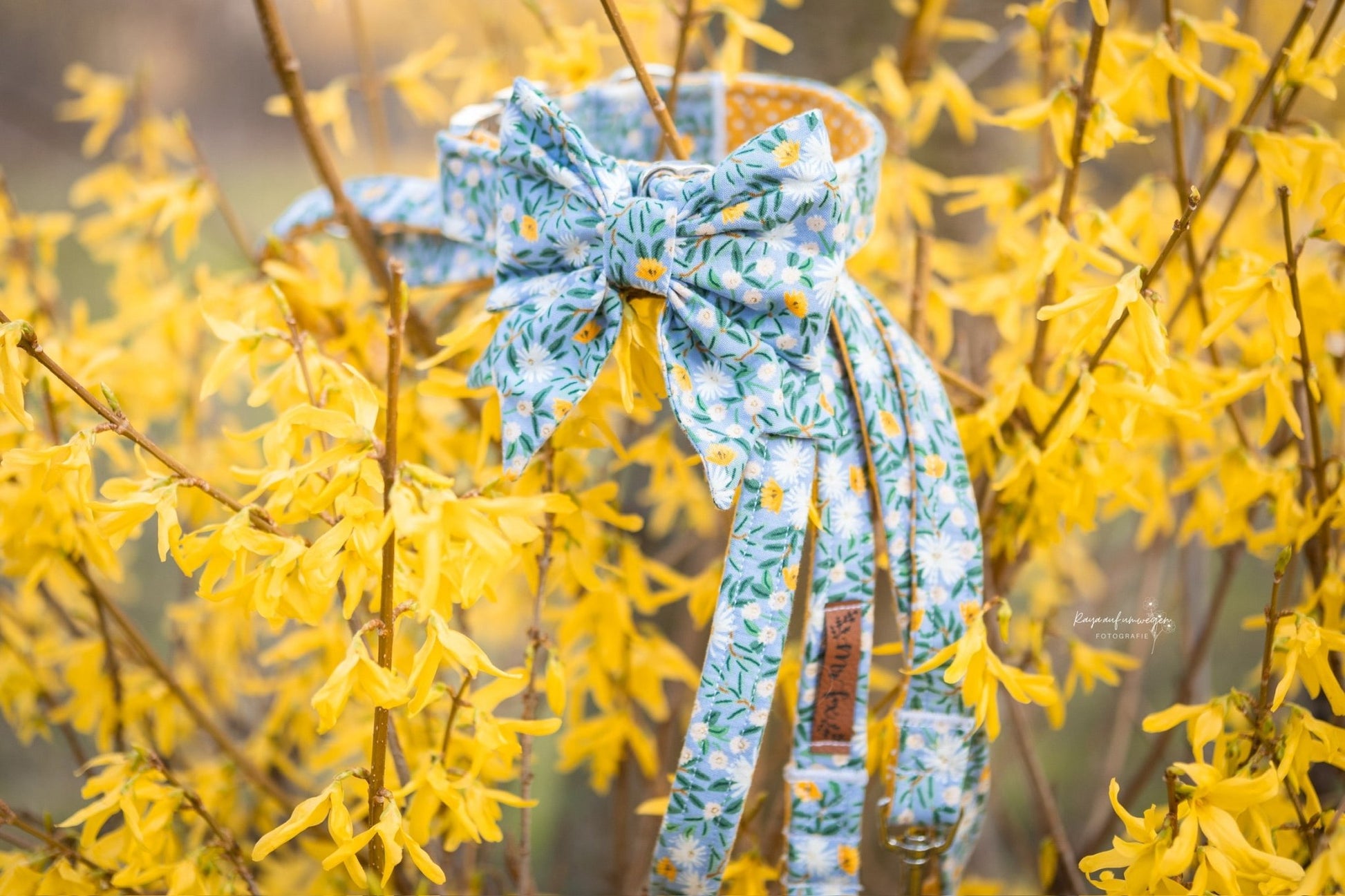 "Blue Bliss" Halsband für Hunde - Mr. Fox Hundezubehör