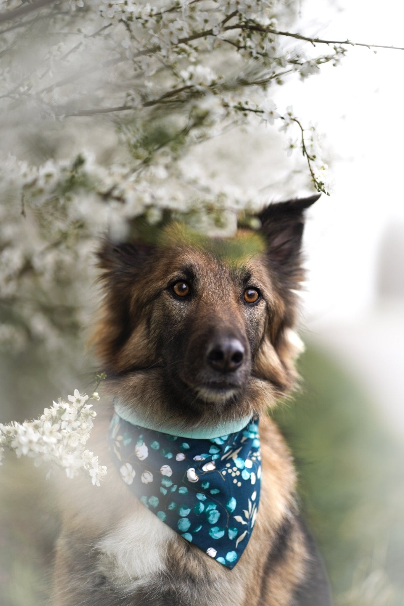 "Enchanting Eucalyptus" Hundehalstuch - Mr. Fox Hundezubehör