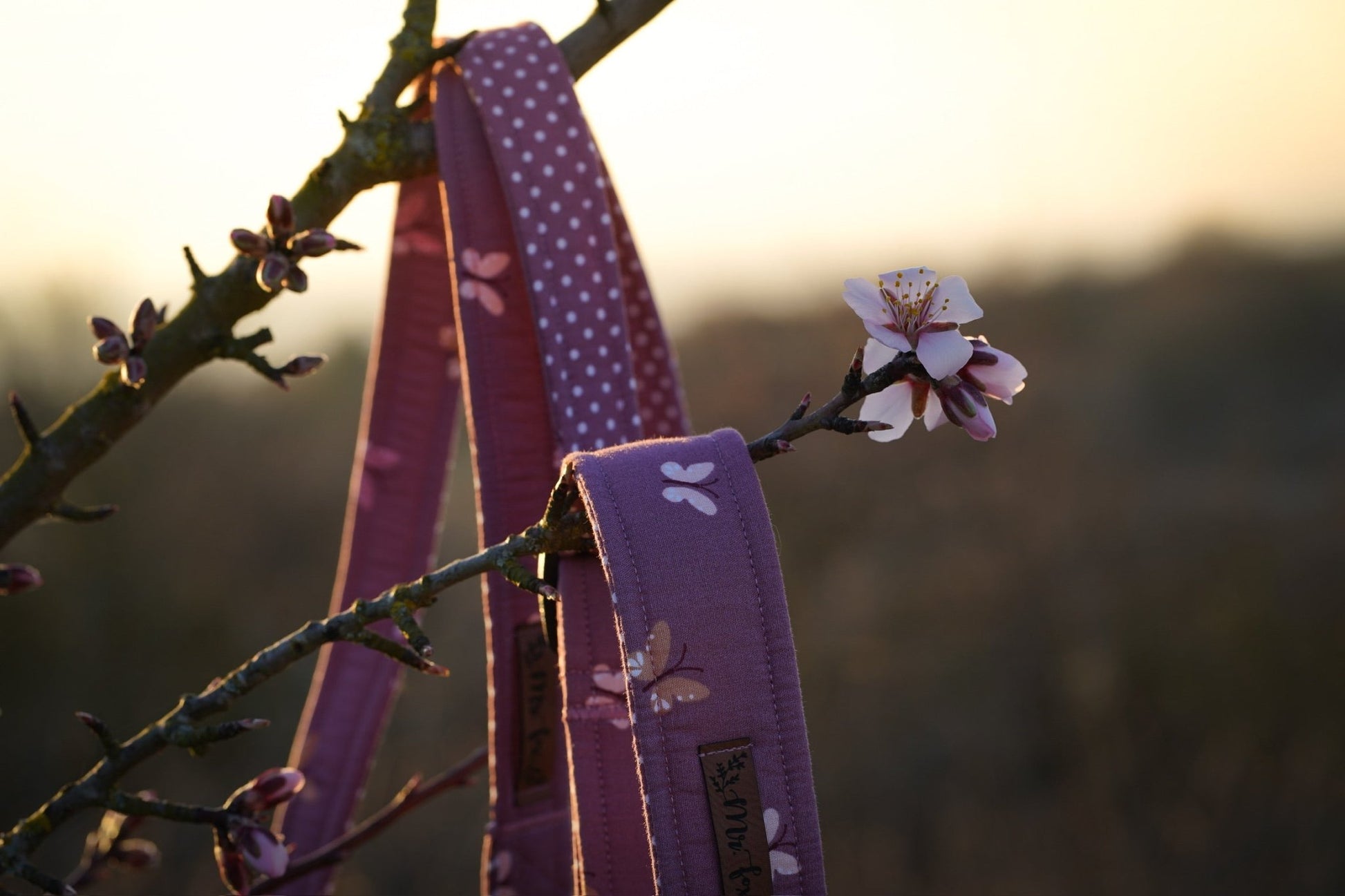 "Butterfly Beauty" Halsband für Hunde - Mr. Fox Hundezubehör