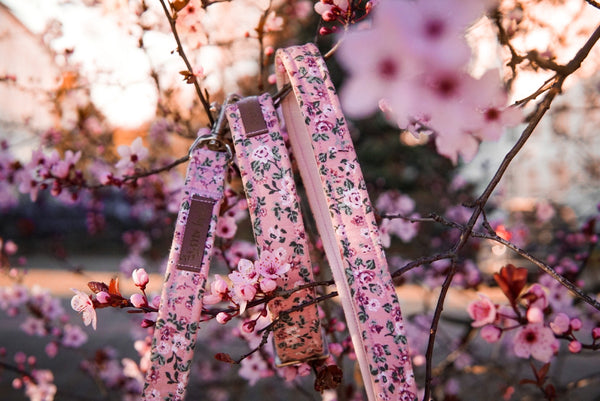 "Fairy Flowers" dog leash