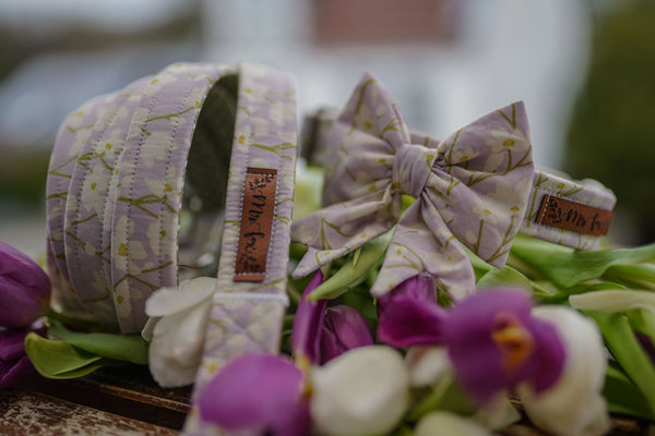 "Soft Spring" Hundeleine