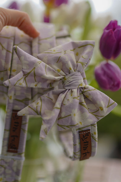 "Soft Spring" Hundeleine