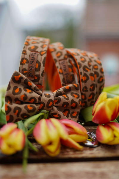 "Leo Lover" Hundeleine