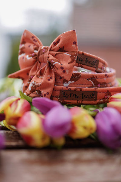 "Floral Fox" Hundeleine