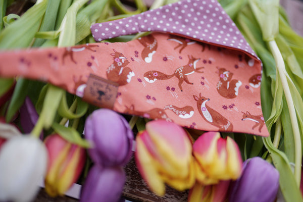 "Floral Fox" Hundehalstuch