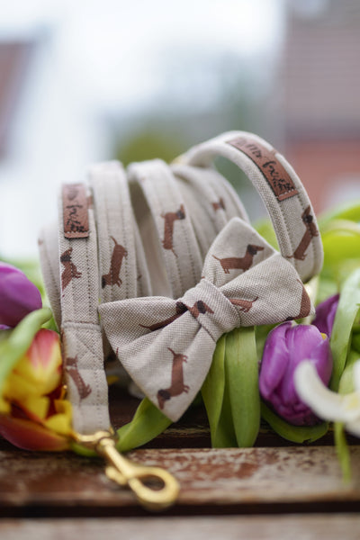 "Dashing Dachshunds" Hundeleine