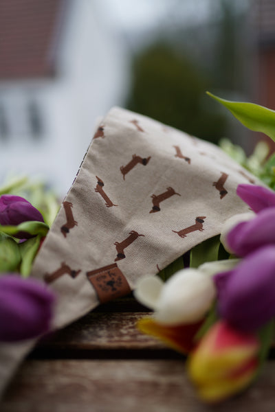"Dashing Dachshunds" Hundehalstuch