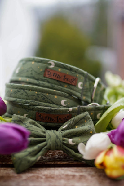 "Magical Mountains" Hundeleine