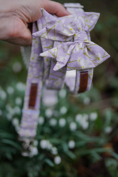 "Soft Spring" Hundeleine