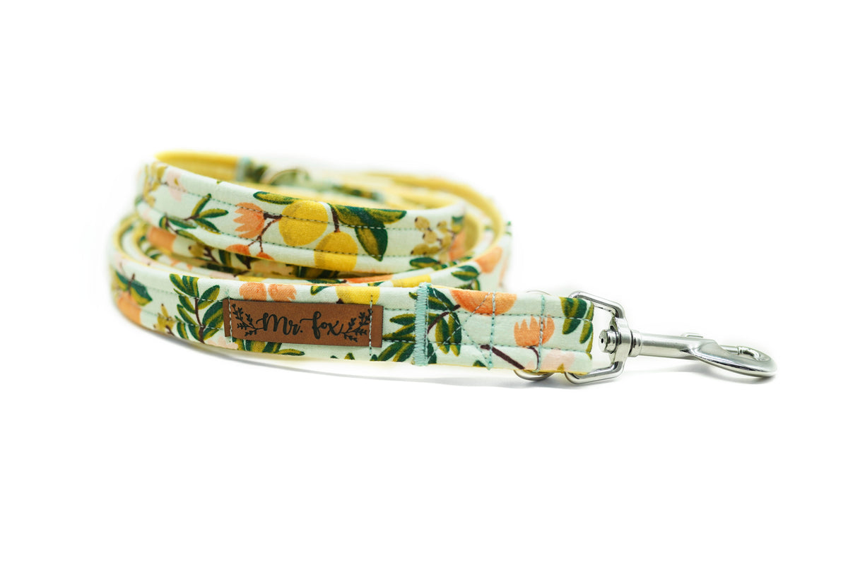 "Botanical Breeze" Hundeleine