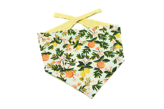 "Botanical Breeze" Hundehalstuch