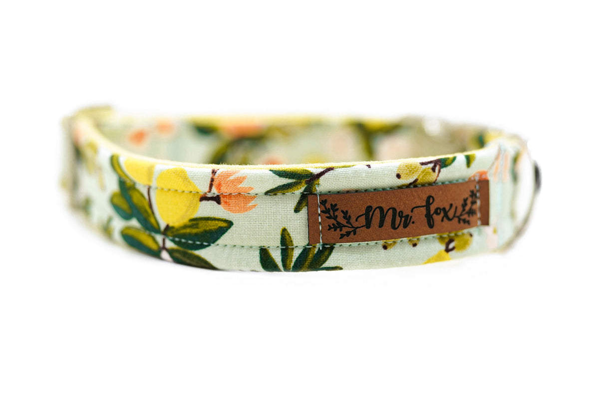 "Botanical Breeze" Dog Collar