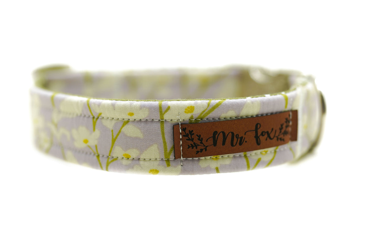 "Soft Spring" Collar for Dogs