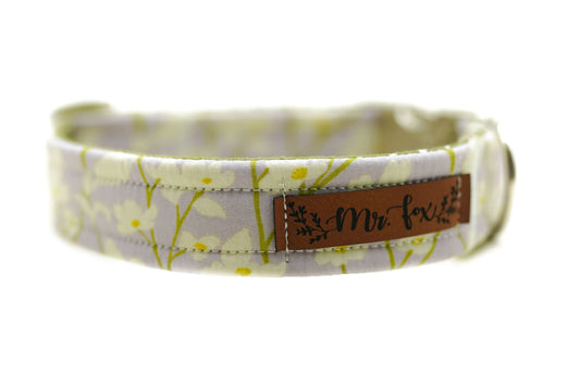 "Soft Spring" Halsband für Hunde