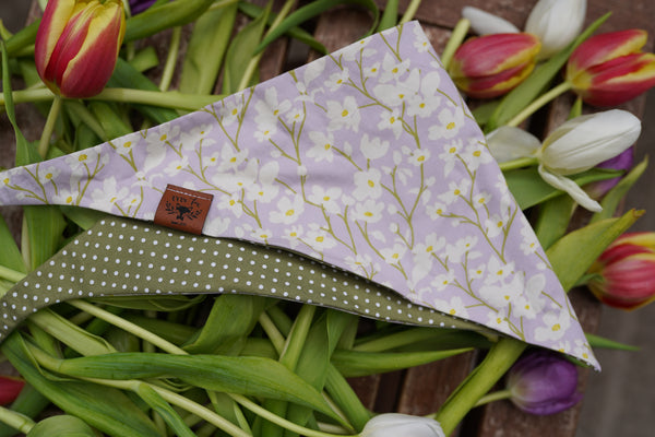 "Soft Spring" Hundehalstuch