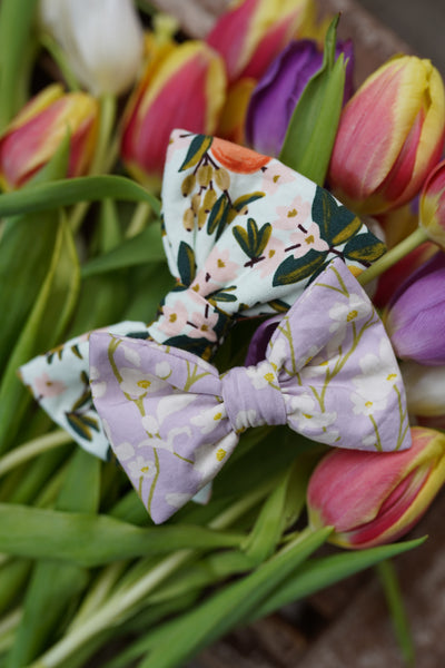 "Soft Spring" Fliege für Hundehalsbänder