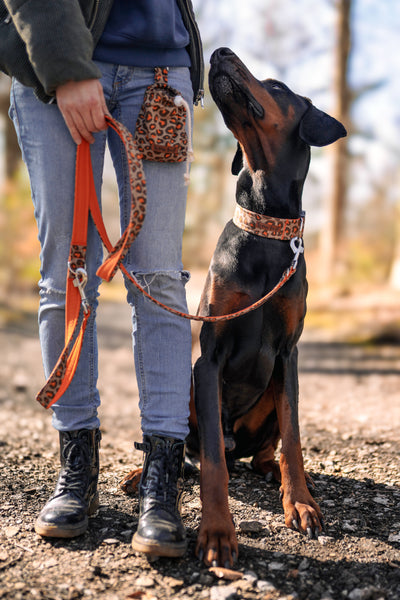 "Leo Lover" Halsband für Hunde