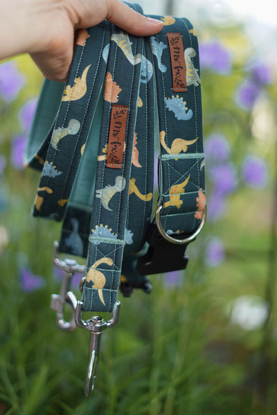 "Dino Dream" Halsband für Hunde