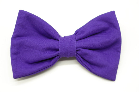 "Purple Uni" Fliege für Hundehalsbänder - Mr. Fox Hundezubehör