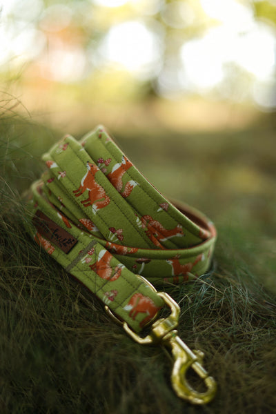 "Fabulous Fox" dog leash