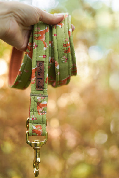 "Fabulous Fox" dog leash