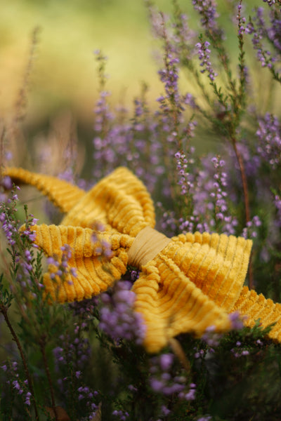 "Sunflower Cord" sailor bow for dog collars