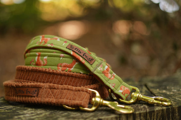 "Fabulous Fox" dog leash
