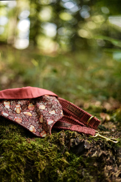 "Berry Cord" dog leash