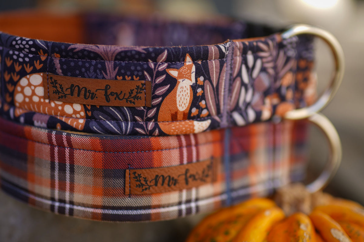 "Cozy Cottage" collar for dogs