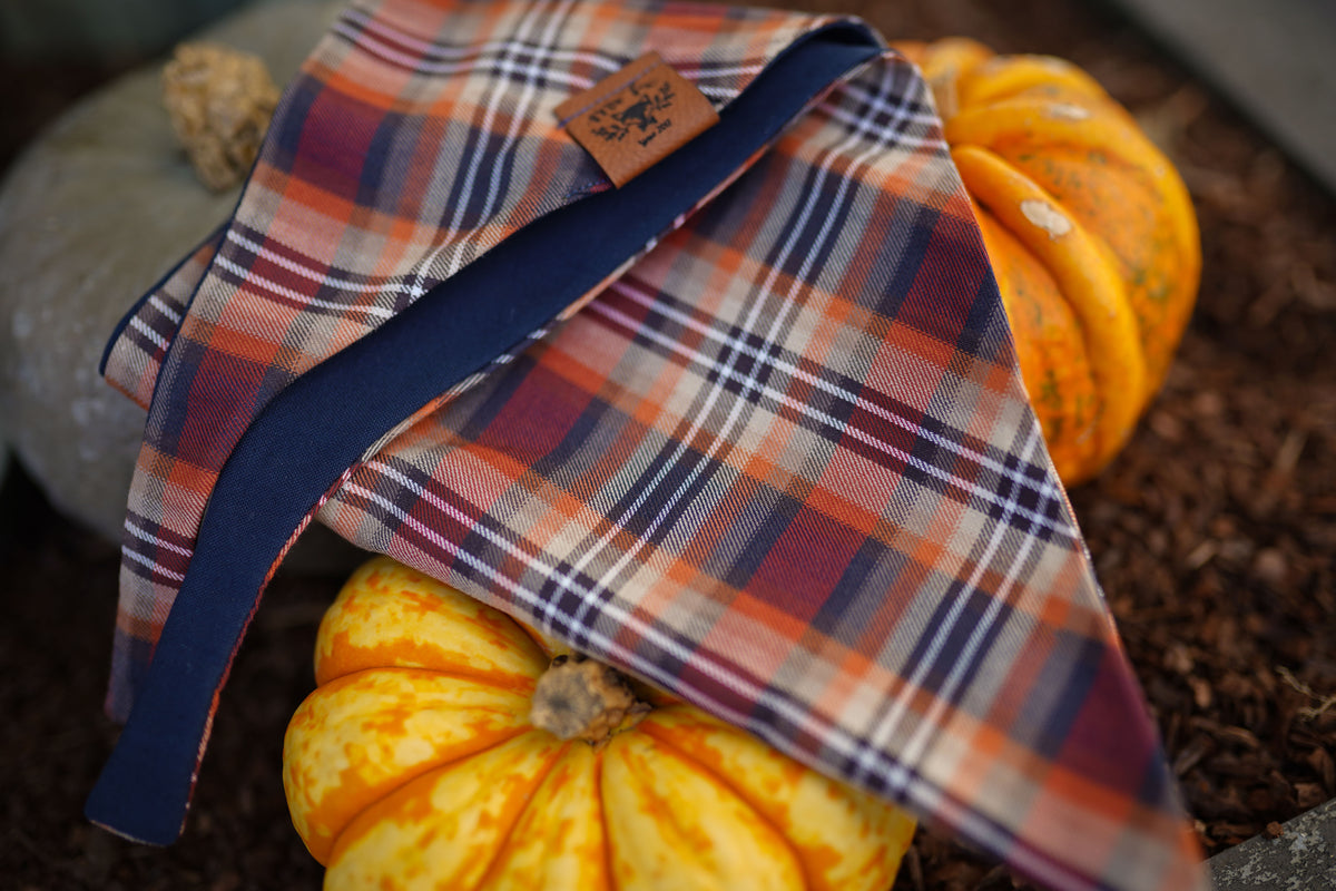 "Cozy Cottage" dog bandana