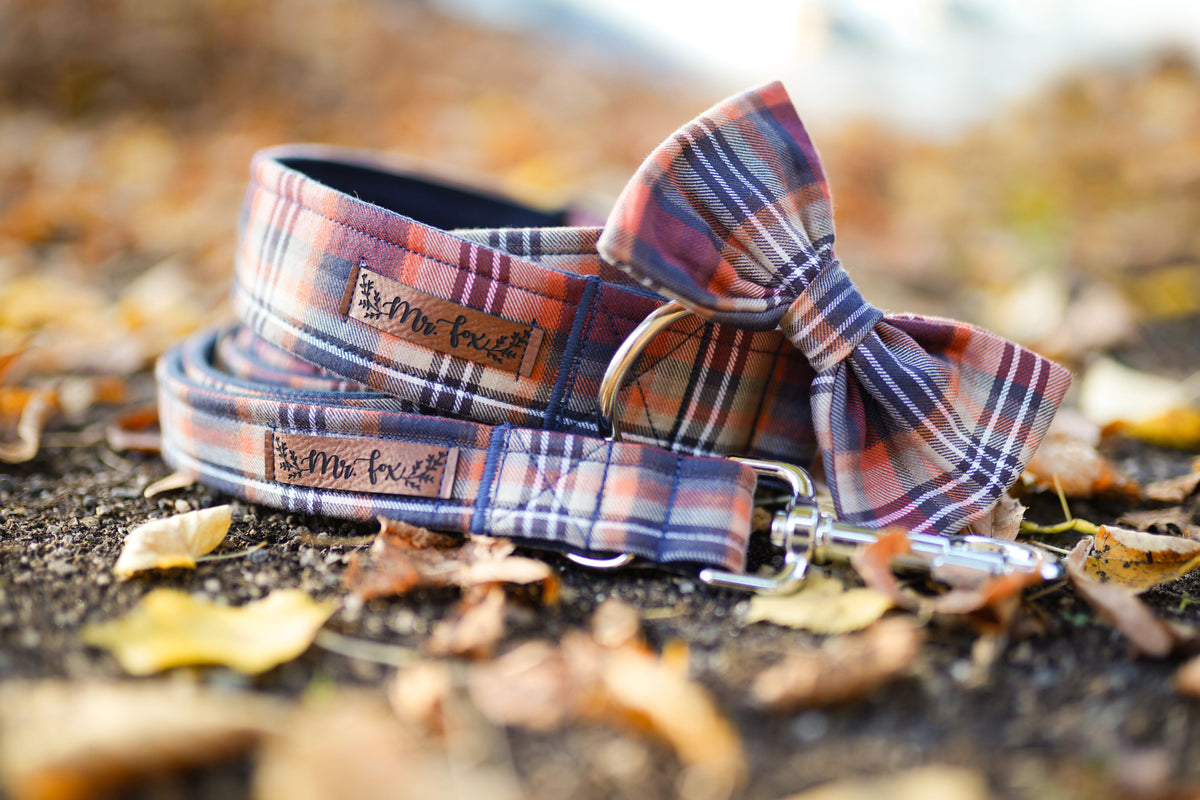 "Cozy Cottage" dog leash