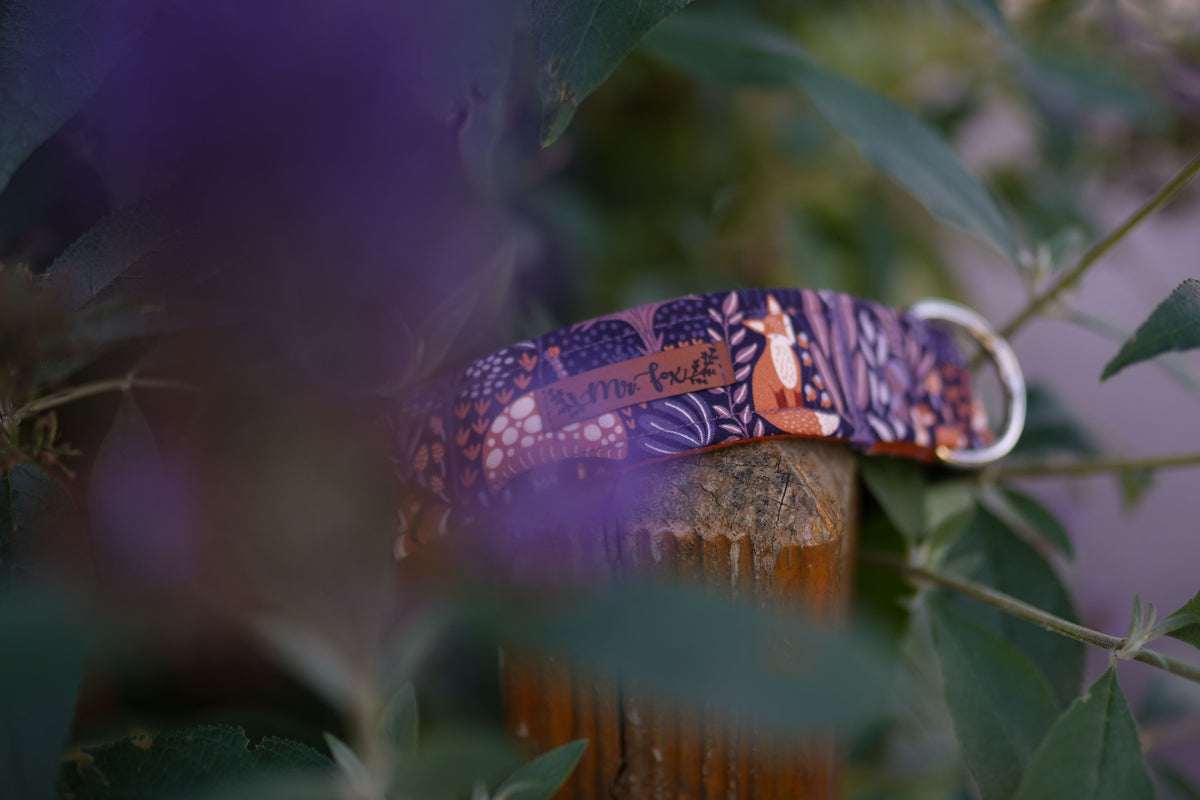 "Fox Fables" dog collar