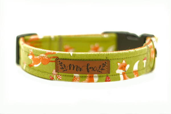 "Fabulous Fox" Halsband für Hunde