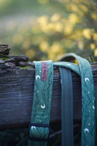 "Magical Mountains" Dog Leash