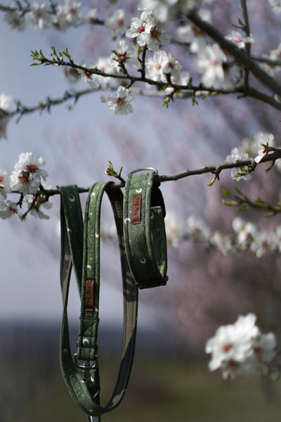 "Magical Mountains" Dog Collar