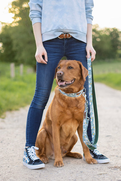 "Blue Bliss" dog leash