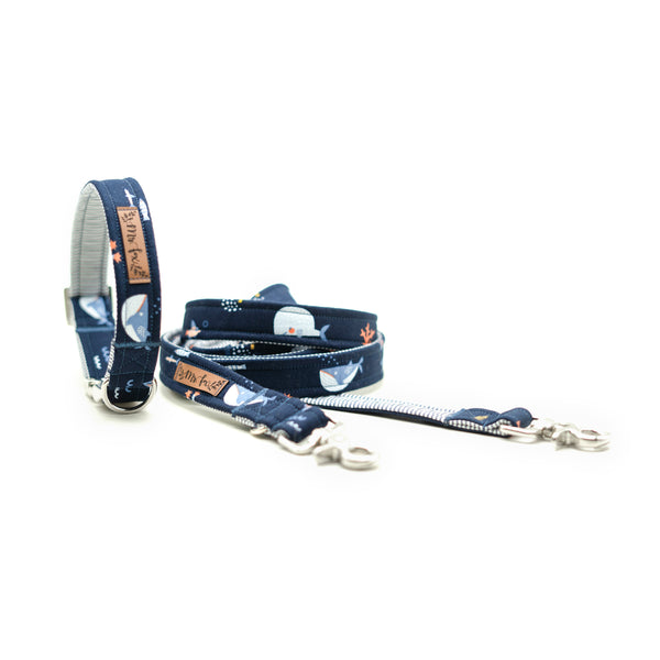 "Under the Sea" dog leash