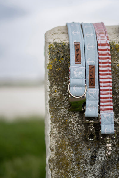 "Ahoy Mate" dog leash