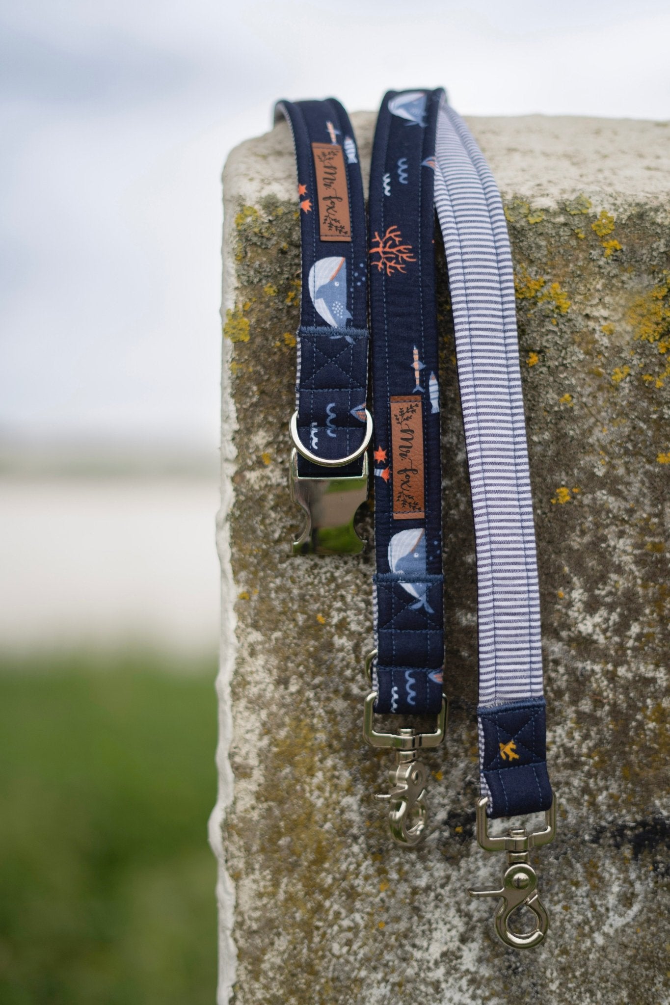 "Under the Sea" Halsband für Hunde - Mr. Fox Hundezubehör