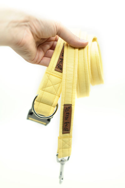 "Lemon Uni" dog leash