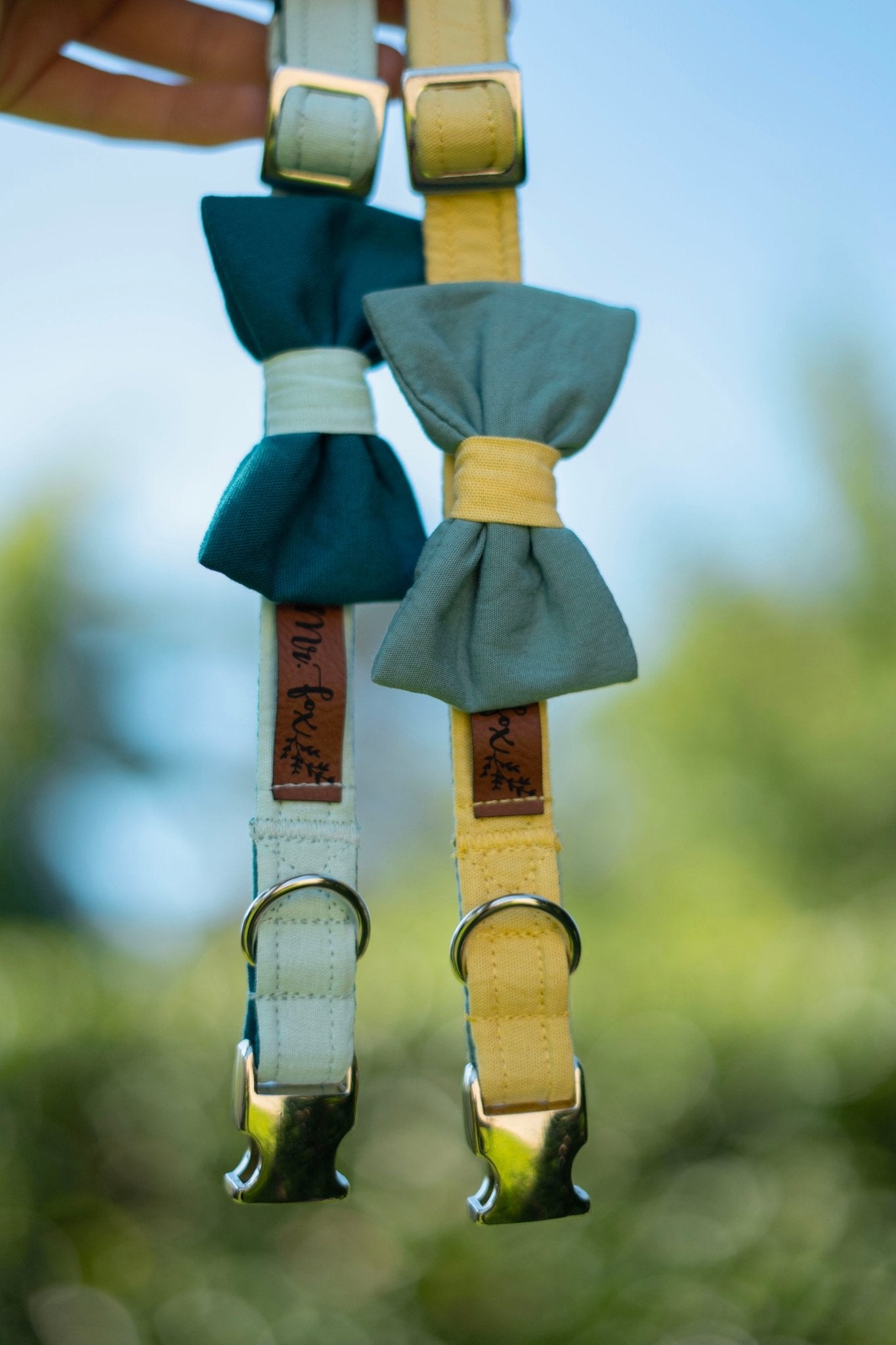 "Color Block" Halsband für Hunde - kombiniere deine Wunschfarben - Mr. Fox Hundezubehör