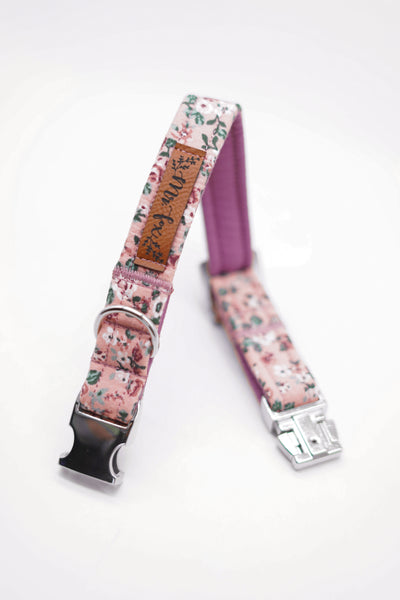 "Fairy Flowers" collar for dogs